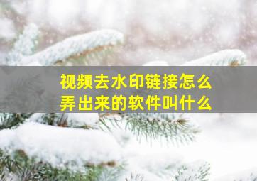 视频去水印链接怎么弄出来的软件叫什么