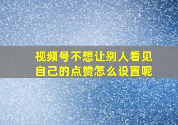 视频号不想让别人看见自己的点赞怎么设置呢