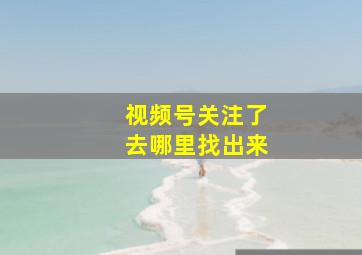 视频号关注了去哪里找出来