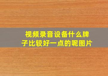 视频录音设备什么牌子比较好一点的呢图片