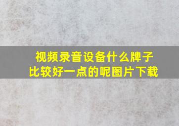 视频录音设备什么牌子比较好一点的呢图片下载