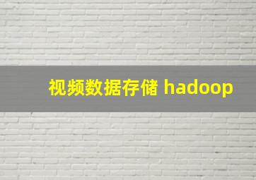 视频数据存储 hadoop