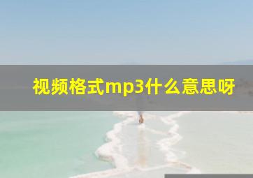 视频格式mp3什么意思呀