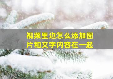 视频里边怎么添加图片和文字内容在一起