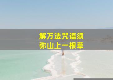 解万法咒语须弥山上一根草