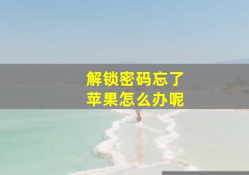 解锁密码忘了苹果怎么办呢