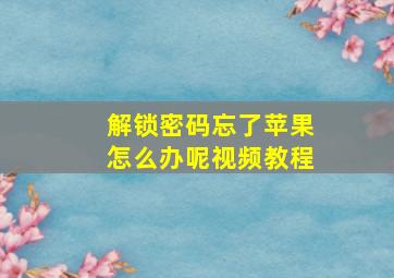 解锁密码忘了苹果怎么办呢视频教程