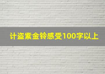 计盗紫金铃感受100字以上