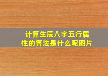 计算生辰八字五行属性的算法是什么呢图片