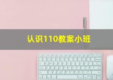 认识110教案小班