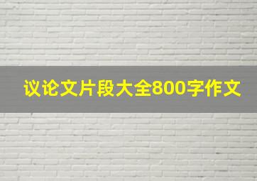 议论文片段大全800字作文