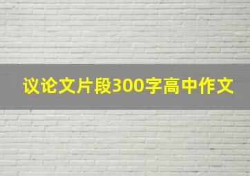 议论文片段300字高中作文