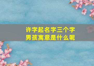 许字起名字三个字男孩寓意是什么呢