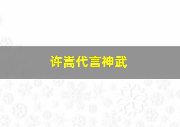 许嵩代言神武