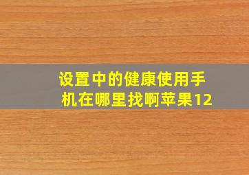 设置中的健康使用手机在哪里找啊苹果12