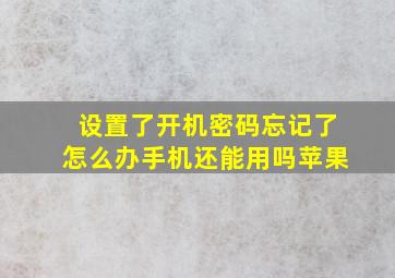 设置了开机密码忘记了怎么办手机还能用吗苹果