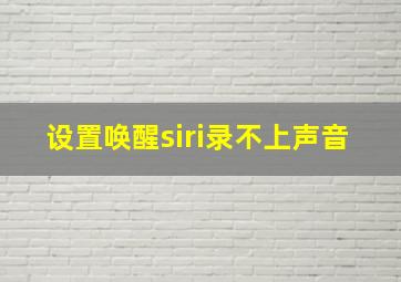 设置唤醒siri录不上声音