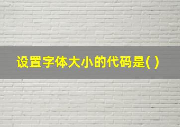 设置字体大小的代码是( )