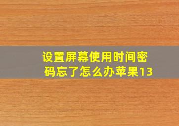 设置屏幕使用时间密码忘了怎么办苹果13