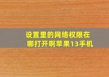 设置里的网络权限在哪打开啊苹果13手机