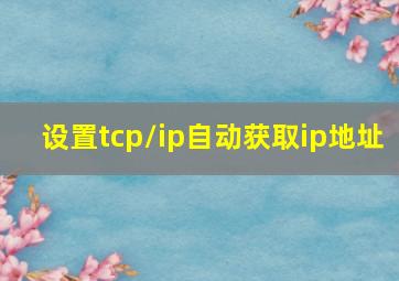 设置tcp/ip自动获取ip地址