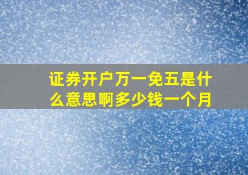 证券开户万一免五是什么意思啊多少钱一个月