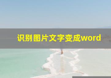 识别图片文字变成word