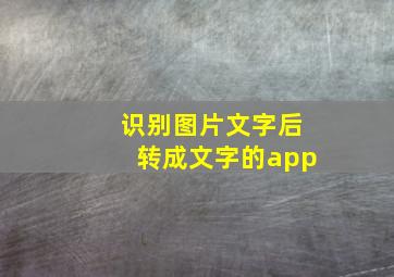 识别图片文字后转成文字的app