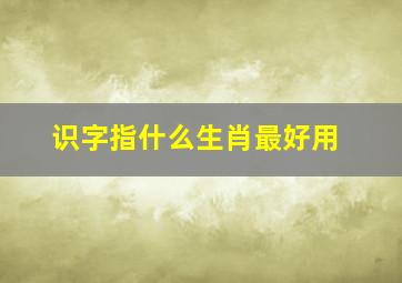 识字指什么生肖最好用