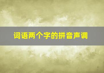 词语两个字的拼音声调