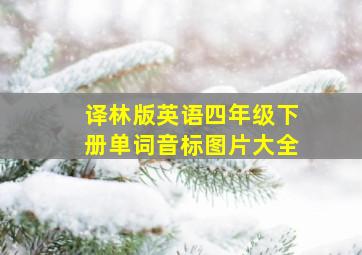 译林版英语四年级下册单词音标图片大全