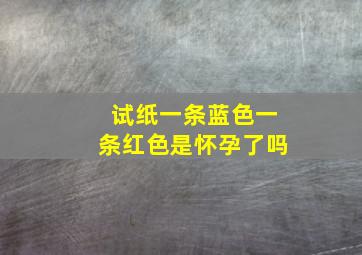 试纸一条蓝色一条红色是怀孕了吗