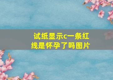 试纸显示c一条红线是怀孕了吗图片