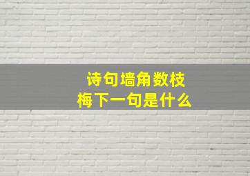 诗句墙角数枝梅下一句是什么