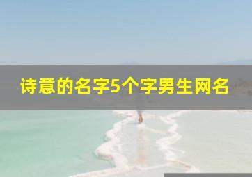 诗意的名字5个字男生网名