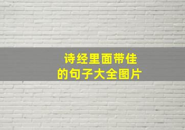 诗经里面带佳的句子大全图片