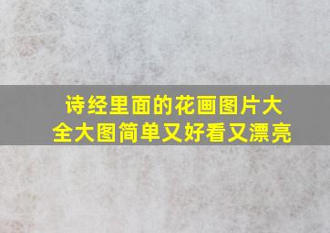 诗经里面的花画图片大全大图简单又好看又漂亮