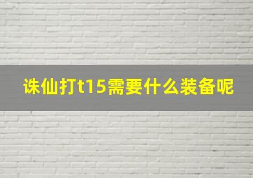 诛仙打t15需要什么装备呢