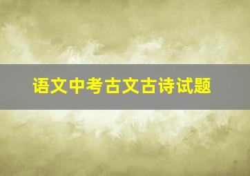 语文中考古文古诗试题