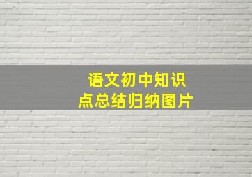 语文初中知识点总结归纳图片