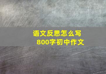 语文反思怎么写800字初中作文