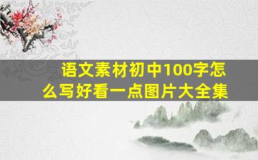 语文素材初中100字怎么写好看一点图片大全集