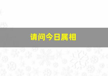 请问今日属相