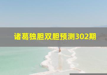 诸葛独胆双胆预测302期