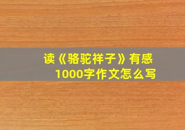 读《骆驼祥子》有感1000字作文怎么写