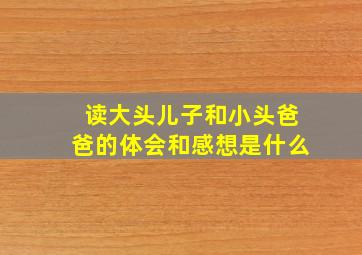 读大头儿子和小头爸爸的体会和感想是什么