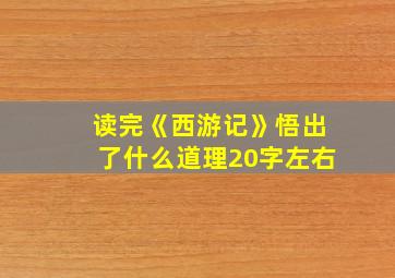 读完《西游记》悟出了什么道理20字左右