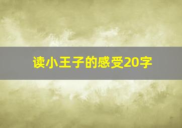 读小王子的感受20字