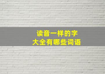 读音一样的字大全有哪些词语