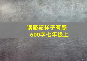 读骆驼祥子有感600字七年级上